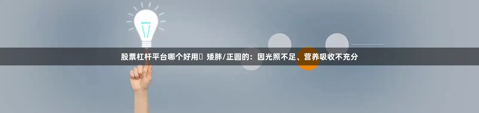 股票杠杆平台哪个好用✘矮胖/正圆的：因光照不足、营养吸收不充分