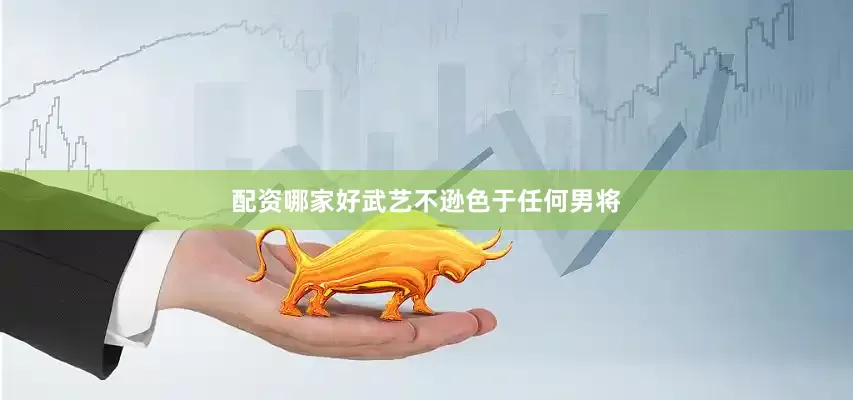 配资哪家好武艺不逊色于任何男将
